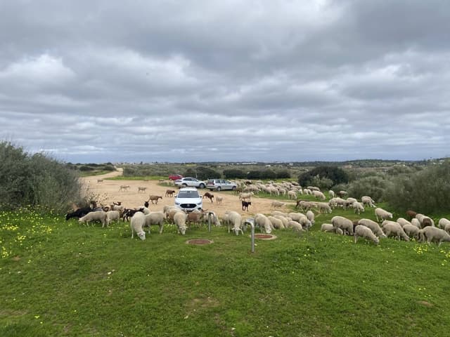 Photo 4 by Peter H. (2/28/26)