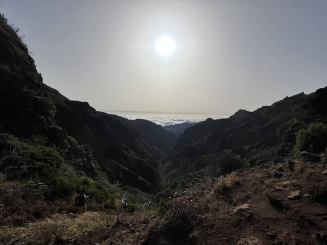 Foto 2 van Alishya W. (16-8-23)