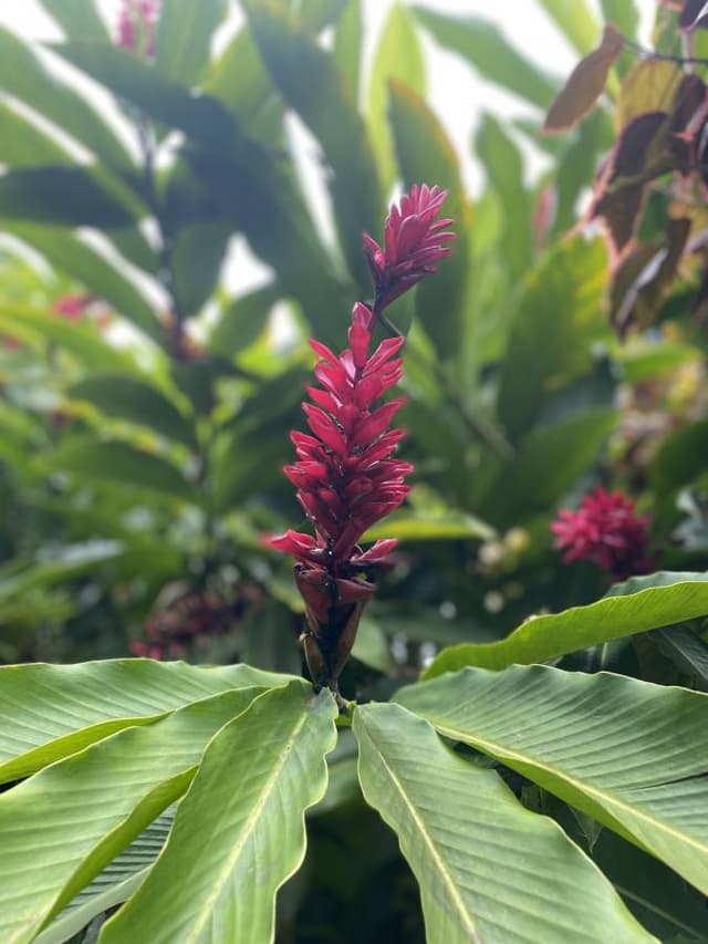 Foto 2 von Alexander S. (5.1.26)