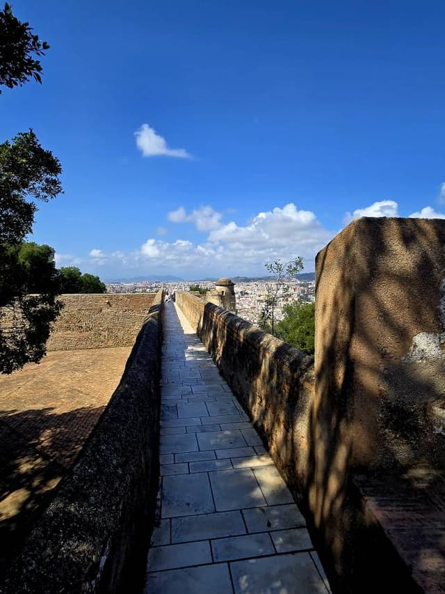 Photo 10 by Catherine S. (3/29/26)