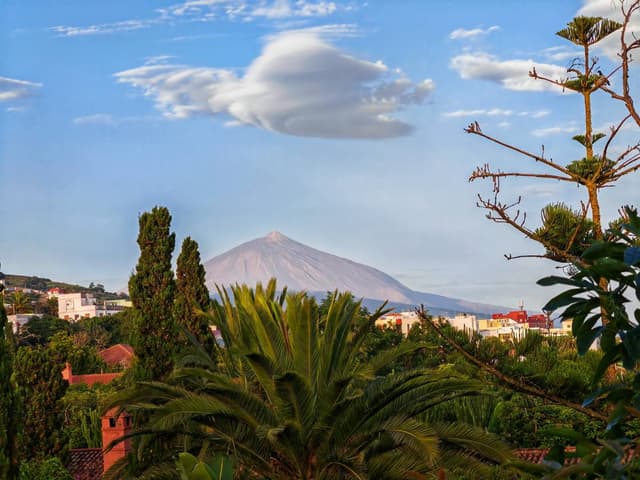 Foto 8 od Libor K. (15. 8. 25)