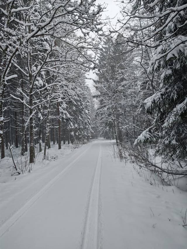 Photo by Jurate M. (1/5/26)