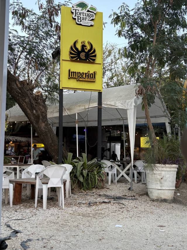 Photo 8 by Michele C. (3/20/26)