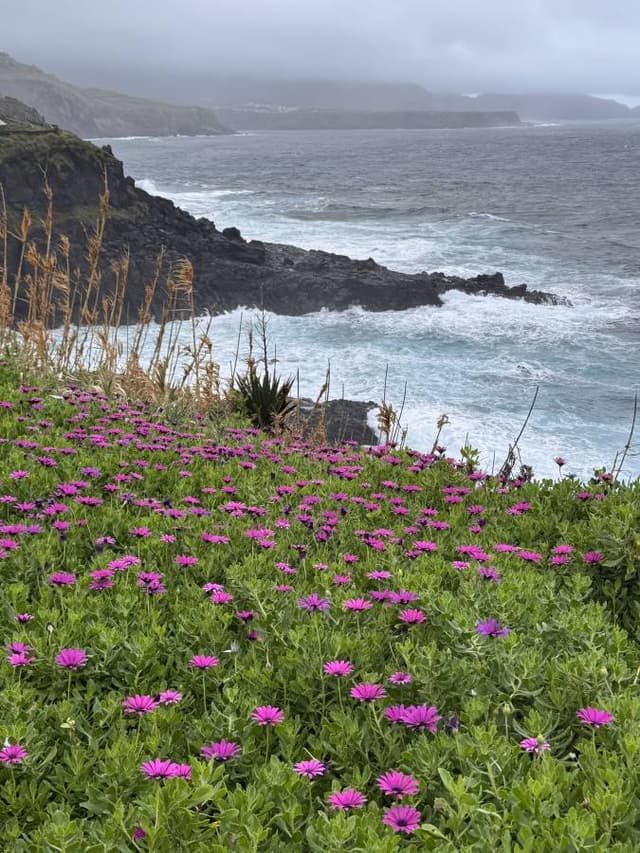 Photo 7 by patrick W. (1/25/26)