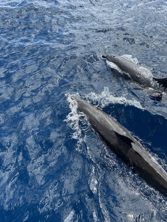 Photo 5 par Raymonde G. (12/07/25)