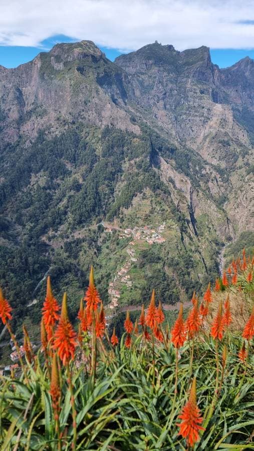 Foto 6 von Jairo A. über die Anmietung eines Fiat Panda auf Madeira (16.11.23)