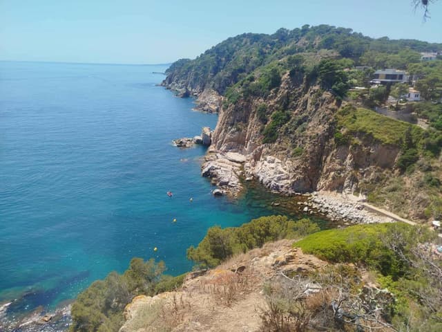 Zdjęcie 3 wykonane przez Bartlomiej G. (7.07.25)