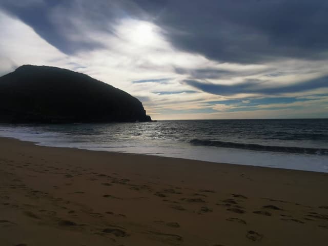 Photo by Thomas O. (1/11/26)