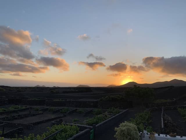 Photo 2 by Michael F. about renting a Volkswagen Polo at Lanzarote Airport (7/9/23)