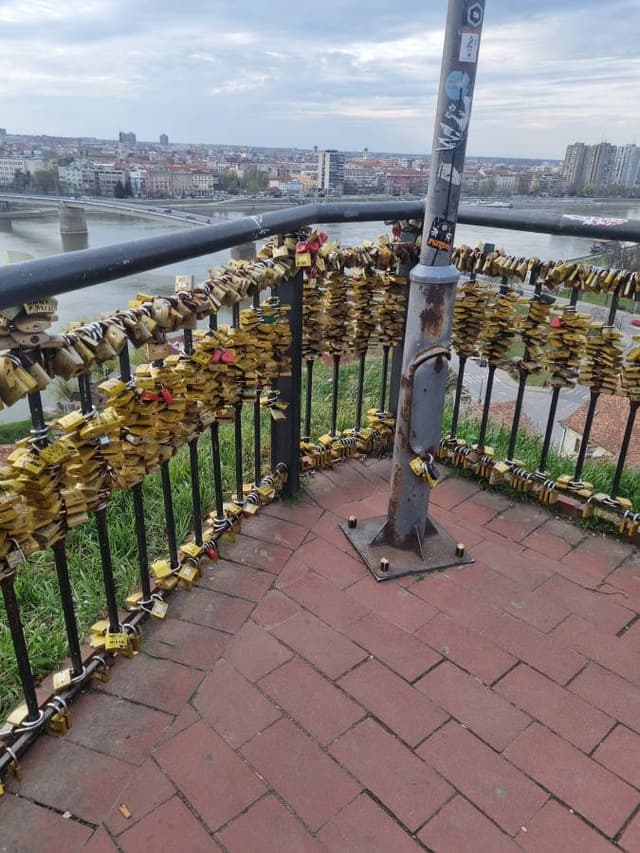 Фото 4 от Galina B. об аренде Volkswagen T-Roc в Сербии (28.03.24)