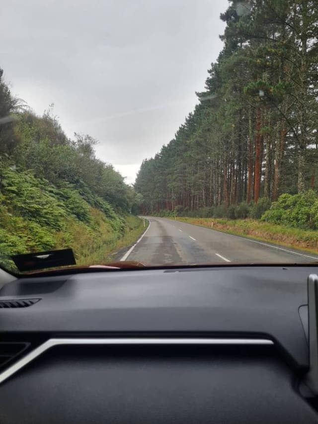 Photo 6 by Kozue K. about renting a Toyota Corolla in Wellington (4/19/24)
