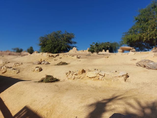 Photo 2 par abdel H. (14/12/24)