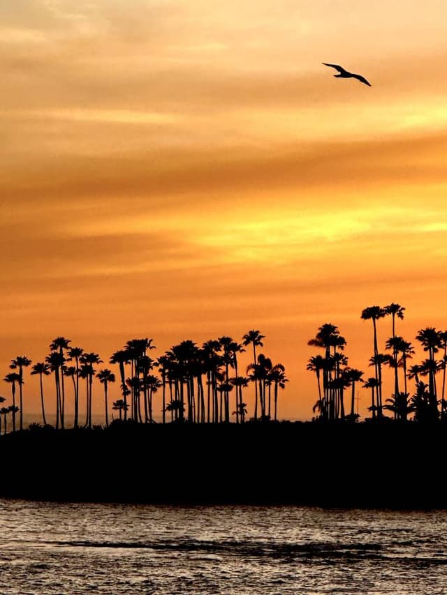 Photo by Kimberly H. (5/13/25)