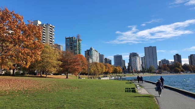 Photo 9 by Brian C. (11/12/25)