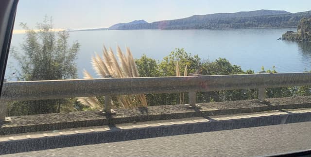 Photo 5 by Natasha D. (7/31/25)