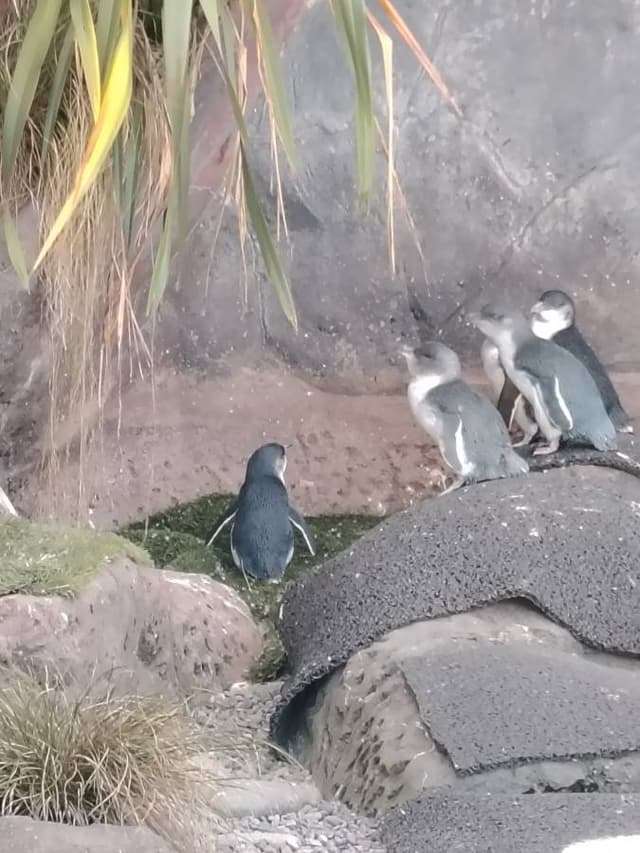 Photo 15 by Wee Heng L. (2/22/26)