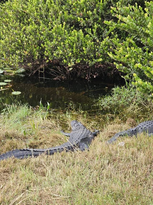 Photo 7 par Marco C. (17/11/23)