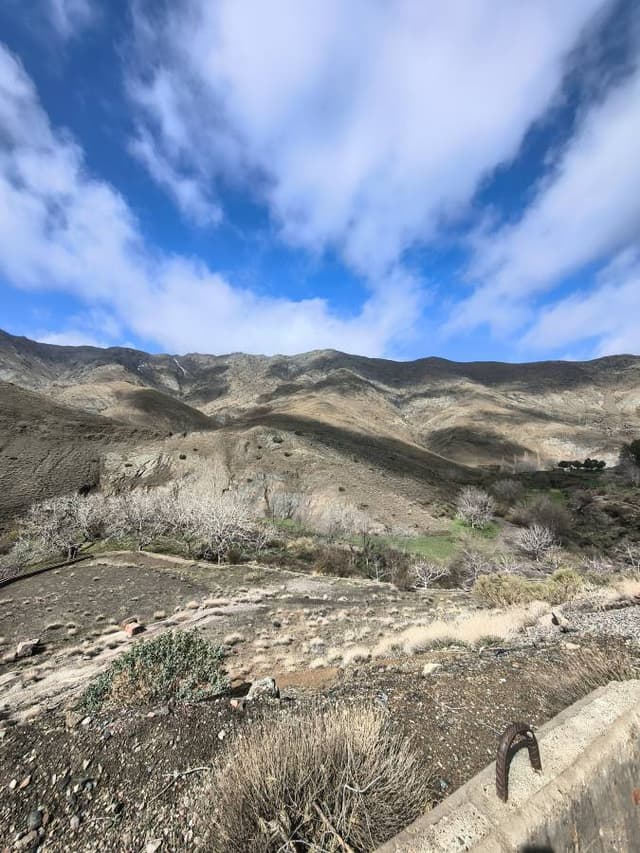 Photo 7 by Cipriani M. (3/18/26)