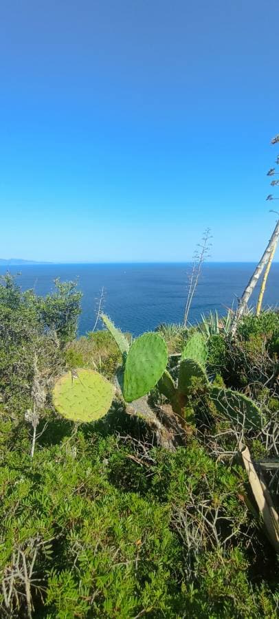 Photo 5 by Robert W. about renting a Nissan Qashqai in Cagliari (7/18/25)
