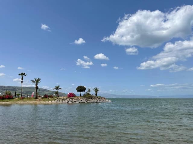 Фото от Evgenii N. об аренде Ford Fiesta в Нетании (12.04.23)