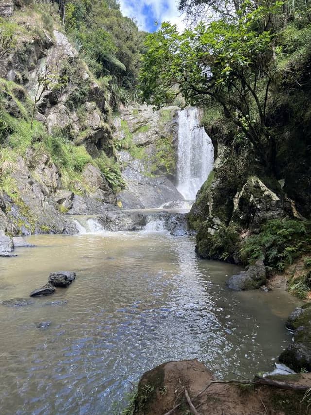 Foto 9 van Harry V. (10-3-26)