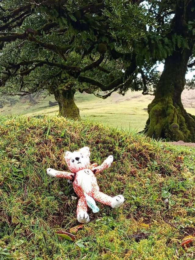 Zdjęcie 20 wykonane przez Justyna B. (1.04.26)