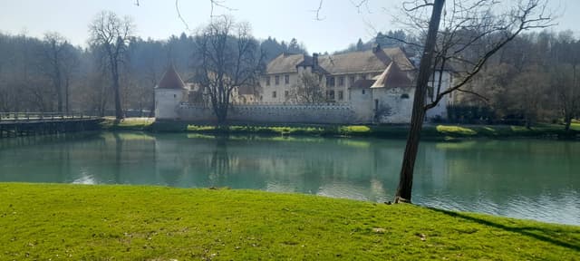 Photo 23 by Kevin B. (3/13/26)