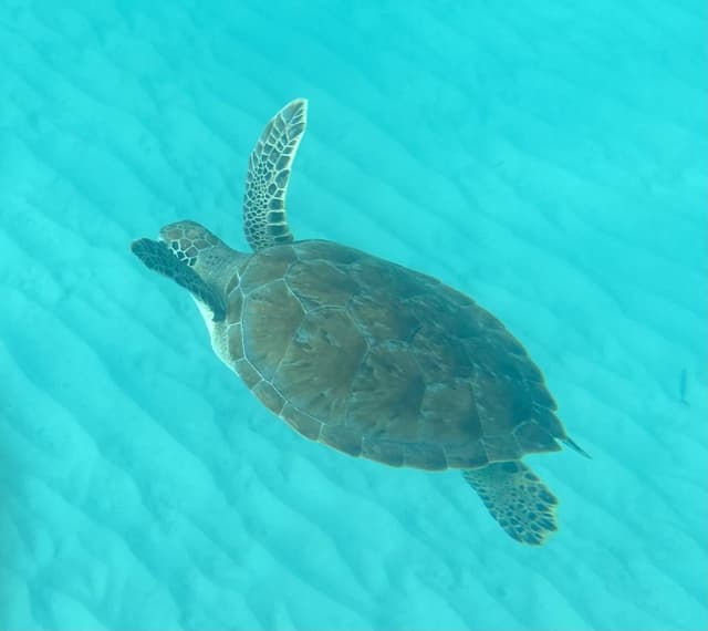 Photo by Richard S. about hiring a Chevrolet Spark at Bridgetown Airport (06.11.24)