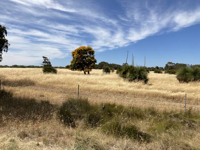 Photo 4 by Robert H. about hiring a Kia K4 in Perth Fremantle (12.01.23)