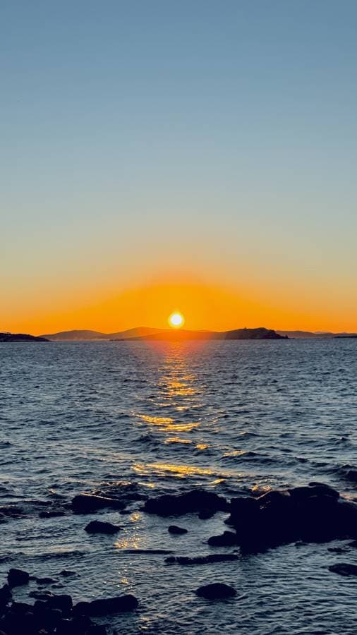 (25/11/2),CHENG WEI L. 拍攝的第 1 張照片