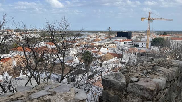 Foto 8 van Paul B. (29-2-24)