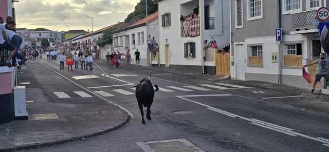 Photo by Rimvydas M. about renting a Fiat Panda at Lajes Terceira Airport (8/16/25)