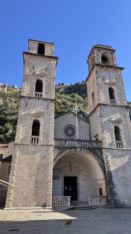 Figen S. tarafından 5 fotoğraf (16.11.24)