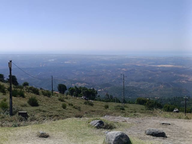 Foto 7 van Yordi G. (18-8-24)