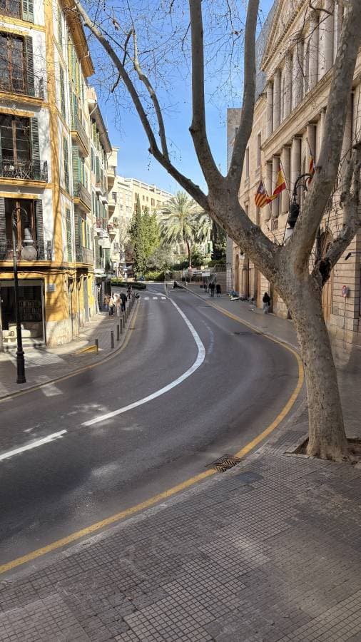 Foto 4 van revelino F. (20-2-26)