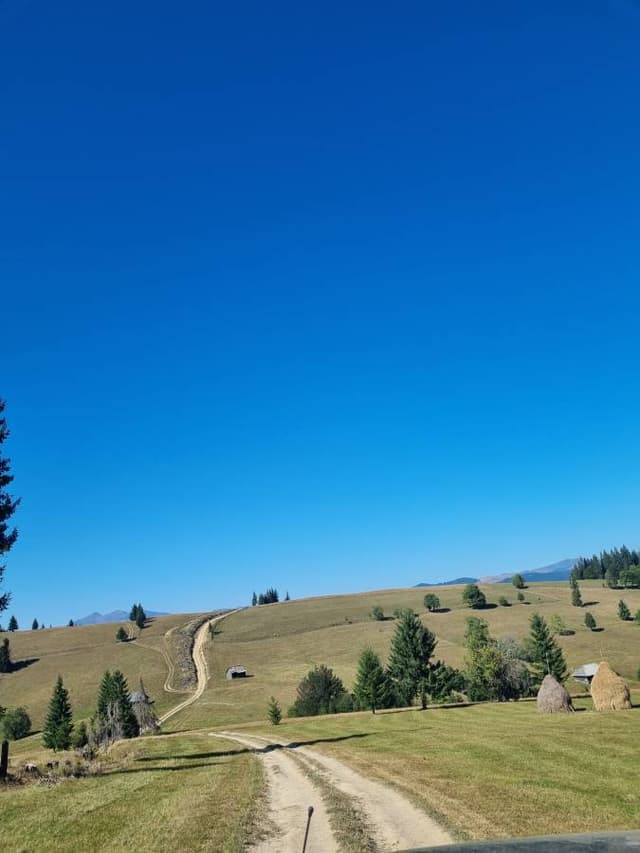 Foto 2 de Viorel Cristinel M. sobre el alquiler de un Dacia Sandero Stepway en Rumania (15/9/24)