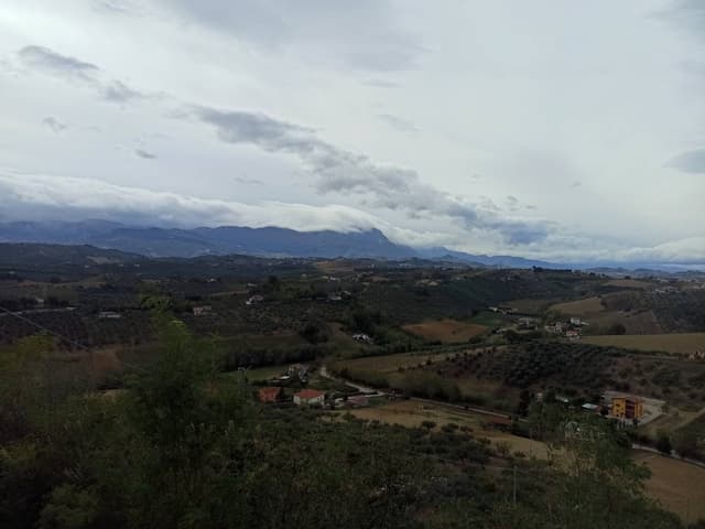 Foto 5 de Gerly T. (03/11/23)