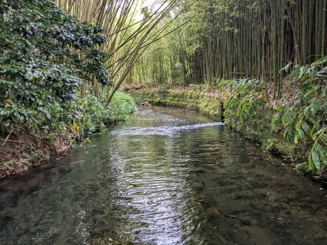 Photo 10 by Trent T. about hiring a Kia Rio at Ponta Delgada Airport (13.07.25)