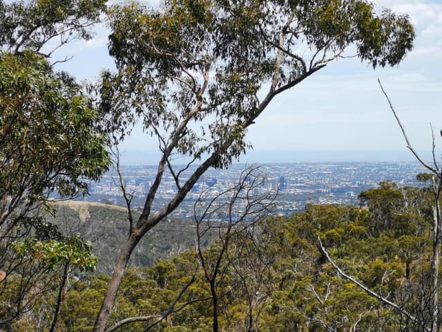 Photo 3 by Nicholas F. about hiring a Toyota Corolla Hatch in Australia (03.01.24)