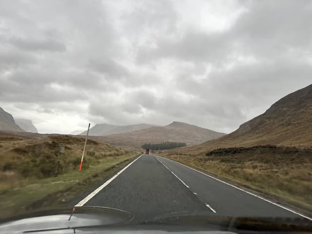 Photo 3 by Geraldine H. (11/12/23)