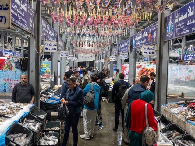 Zdjęcie 7 wykonane przez Joanna H. (21.12.24)