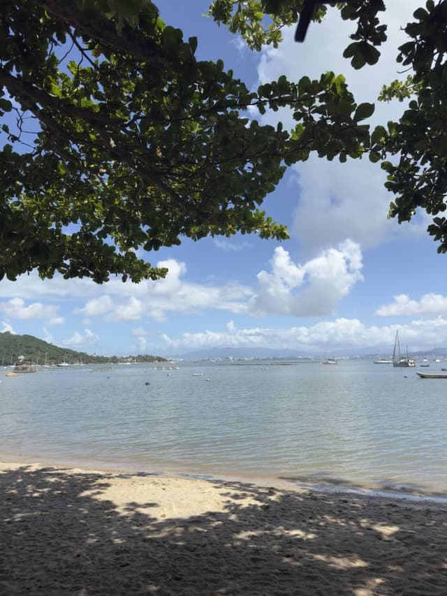 Photo 2 by Werner H. (4/3/26)