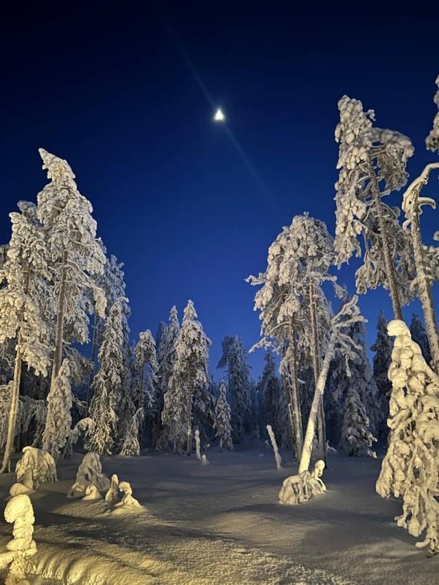 Photo 4 by Hugo L. (2/2/26)