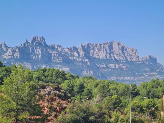 Foto 5 von Guenter W. (22.9.25)