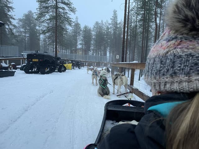 Foto 5 di CORNEL P. (06/12/25)