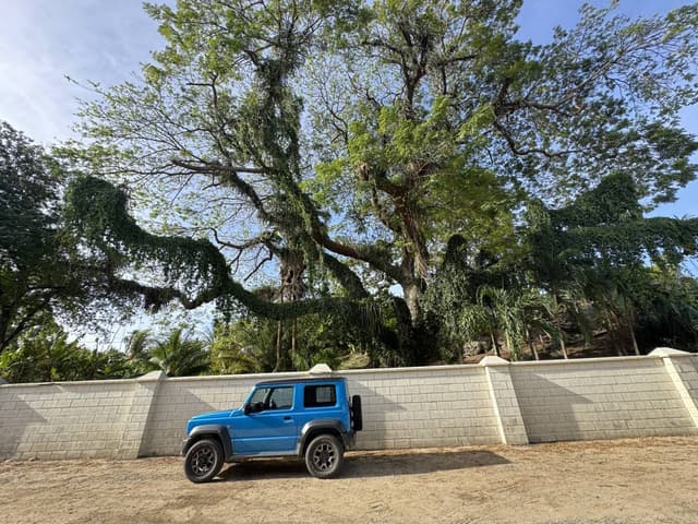 Photo 4 by Richard D. about hiring a Suzuki Sierra in Trinidad and Tobago (30/03/26)