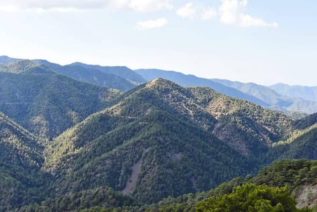Zdjęcie 2 wykonane przez Paulina L. dotyczące wynajmu Ford Focus w na Lotnisku w Pafos dnia (26.09.23)