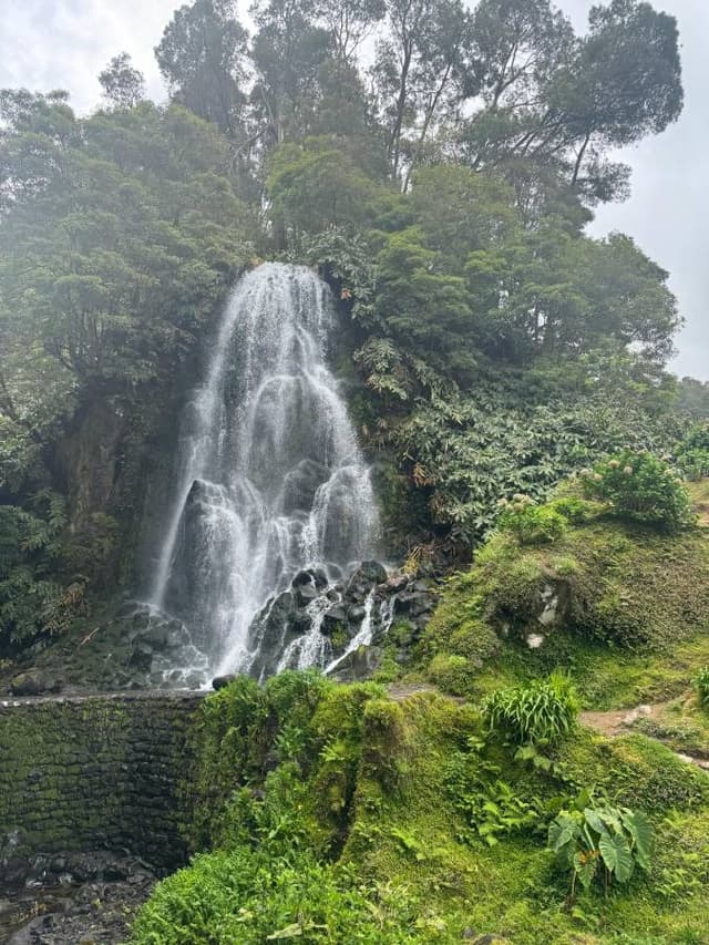 Foto 7 de Vasco E. sobre o aluguer de um Seat Ibiza em Ponta Delgada (27/05/25)