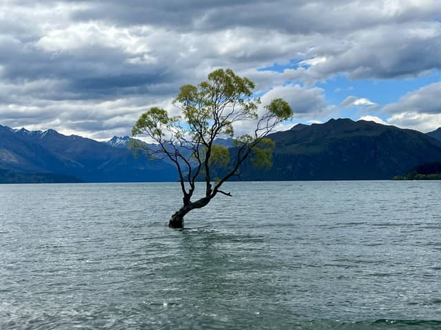 Photo 3 by Jacqueline C. about hiring a Toyota Corolla at Queenstown Airport (12/01/26)