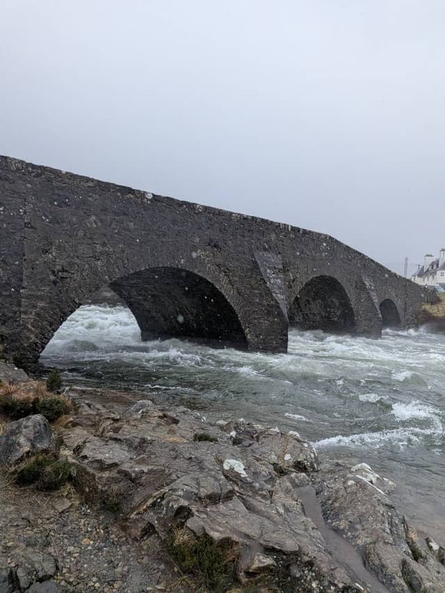 Photo 1 par Cloe K. (04/03/26)